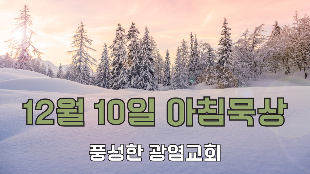 2024년 12월 10일 아침묵상