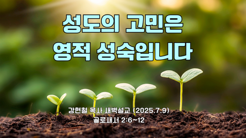 2025.7.9 새벽묵상