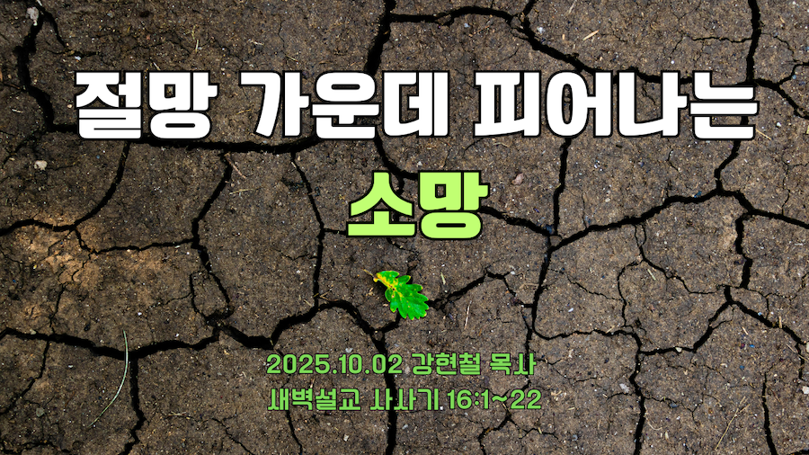 2025.10.2 새벽묵아
