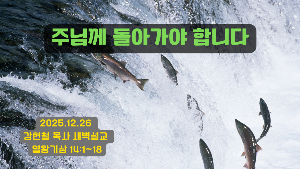 2025.12.26 새벽묵상